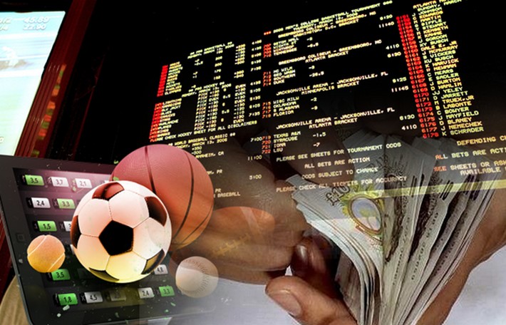 Novibet La nueva forma de disfrutar las apuestas en línea